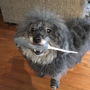 Meet your Posher, Fita